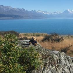 Lake Pakuki mit dem Mount Cook