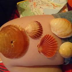 gesammelte Werke