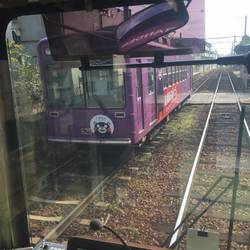 Purple People Mover!
