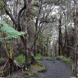 The rim of the Kilauea Iki crater