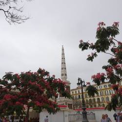 Plaza de la Merced