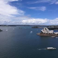 Pyrmont Lookout 😊
