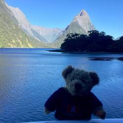 Der Milford Sound Fjord