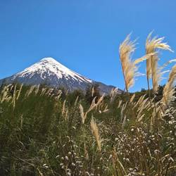 Der Osorno ist einer der schönsten Vulkane