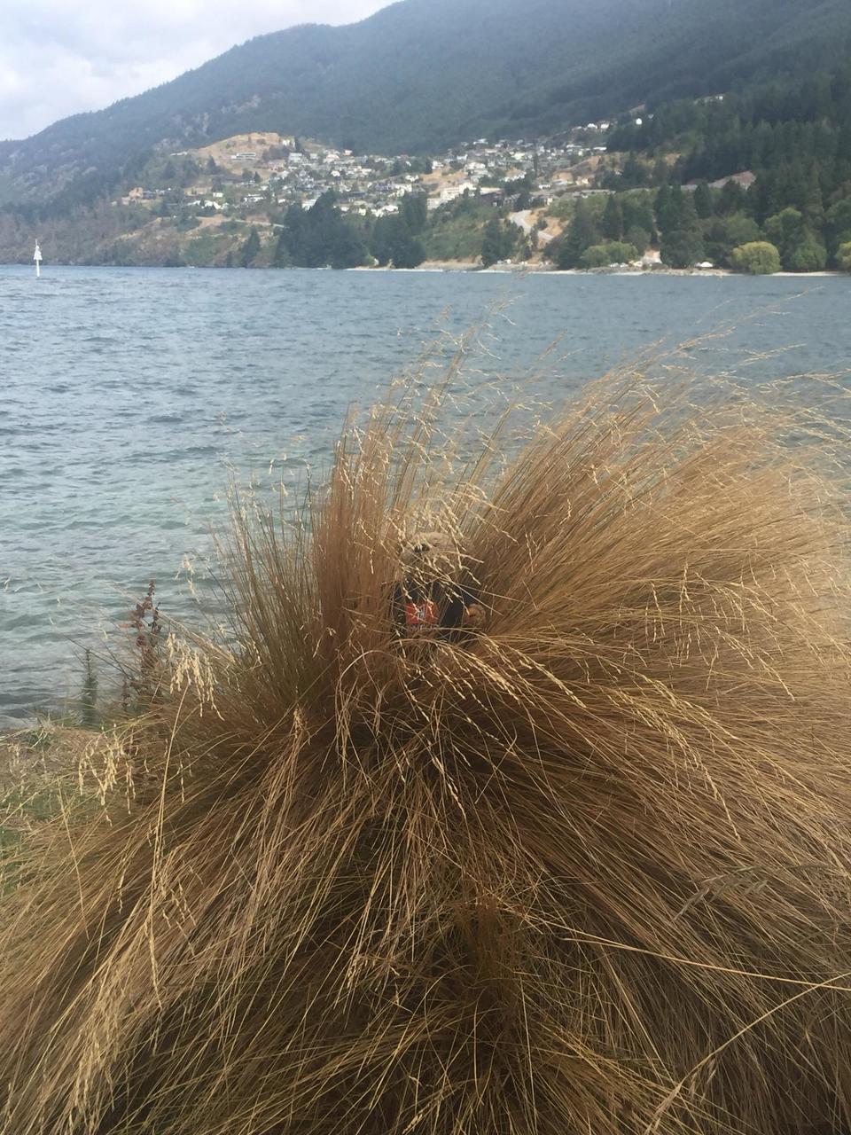 Ich in Queenstown