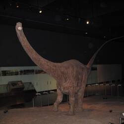 Big dinosaur