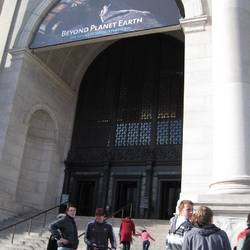 Museum of Natural History