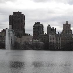 Guggenheim from Central Park