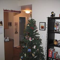 The apartment