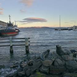 Aussicht beim Seafood-Dinner