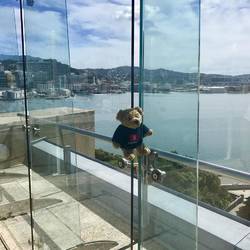 Ein Blick über den Hafen von Wellington