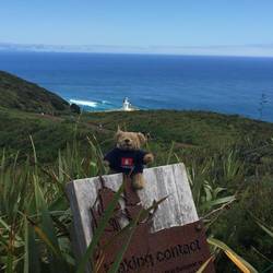 Der Leuchtturm Cap Reinga