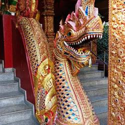 Die Naga(?) Ist der Beschützer von fast allen Tempeln