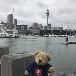 Hafencity Auckland