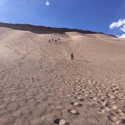 We climbed down that???