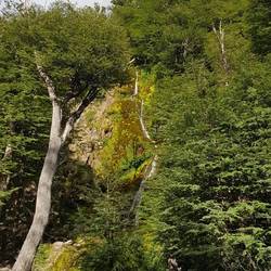 Salto del Anillo