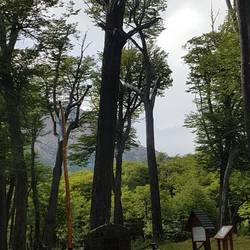 Chile-Argentina standoff location