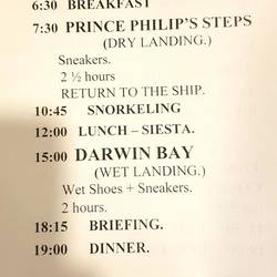 The day's activities