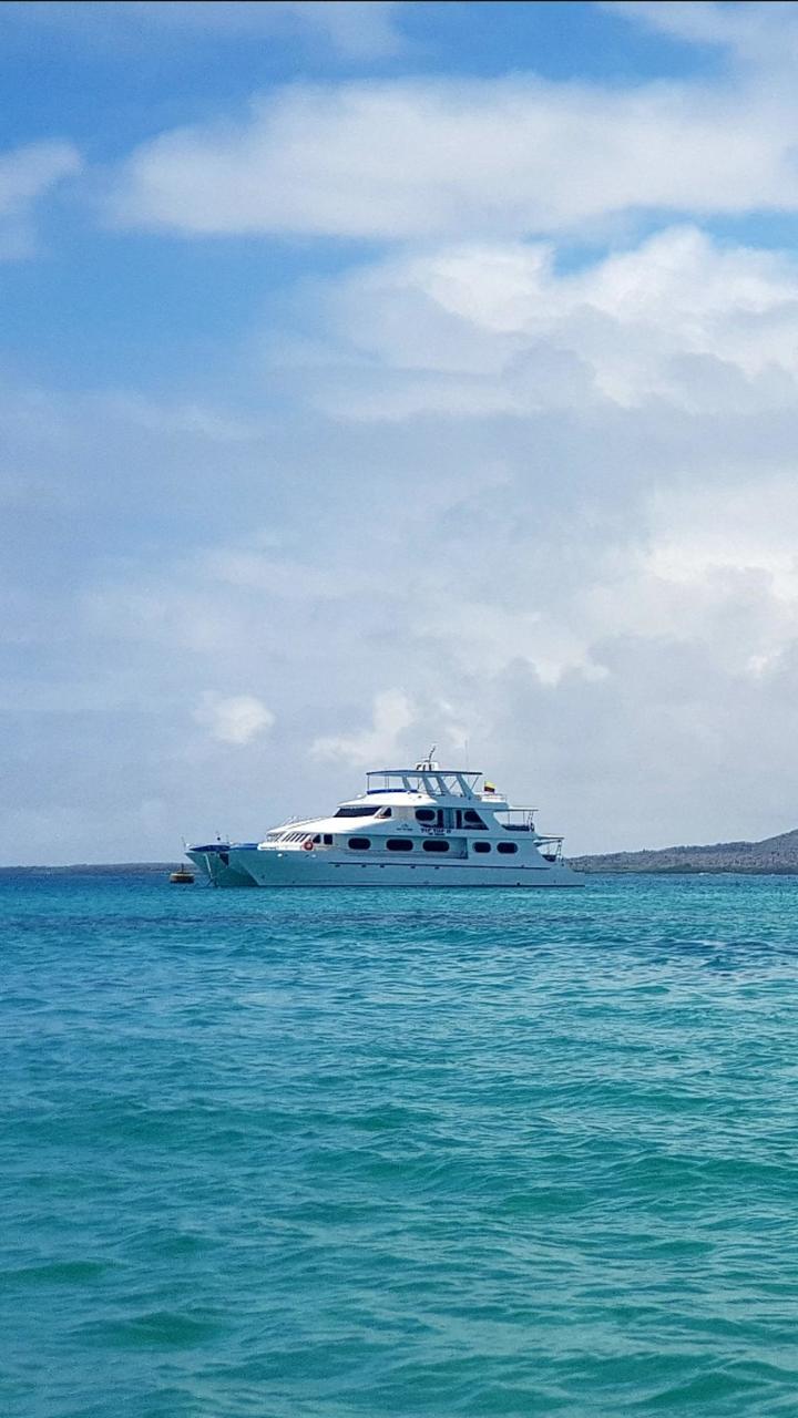 Our catamaran