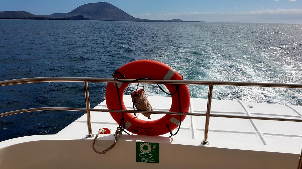 Cruising