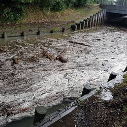 So much rain, river near to breaking the banks