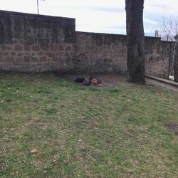 friedliche Fütterung 😊