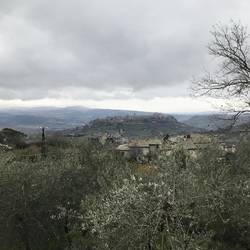 der Blick auf Orvieto