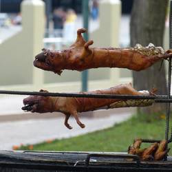 Meerschwein am Spieß