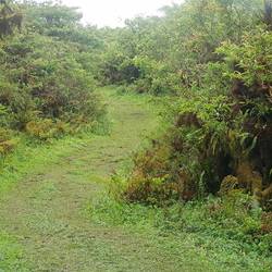 Nice walk