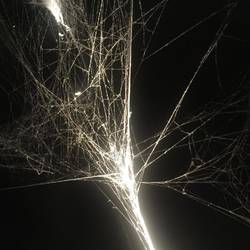 Exhibit by Tomas Saraceno