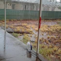 Aah, fresh rain water!!