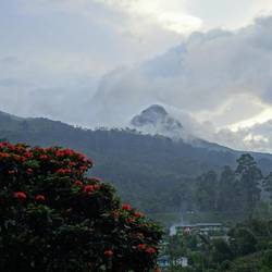 Adam's Peak