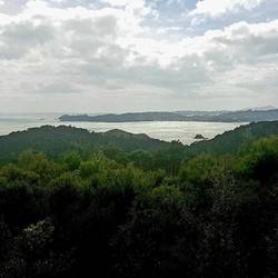 Der letzte Blick auf Paihia