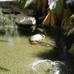 View from the hall way