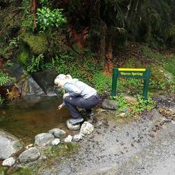 Warme Quelle auf dem Weg zum Fox Glacier
