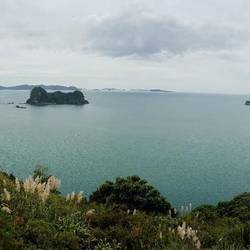 Bucht vor Hahei