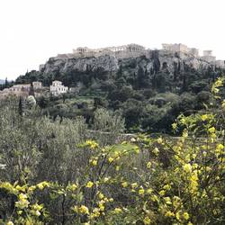 Picture of Parthenon from the Agora (ancient market place)