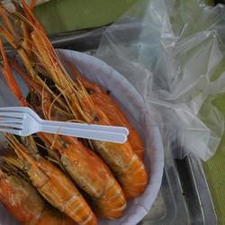 On s'est arrêtés sur des crevettes d'eau douce pour le repas. MIAM!
