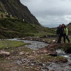 Typical High Andean bridge of mud and sticks