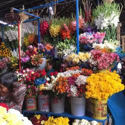Flowers at San Padro Market