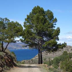 Die Bucht bei Port de la Selva taucht das erste Mal hinter dem Wanderweg auf
