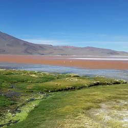 Laguna Colorada