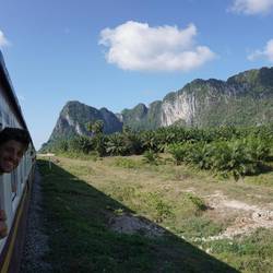 Magnifique paysage en chemin.