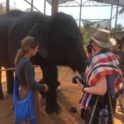 Mein Elefant