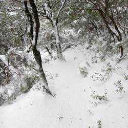 Winter im März - in Spanien in der Nähe der Costa Brava!