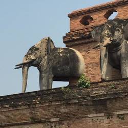 Wat Chedi Luang