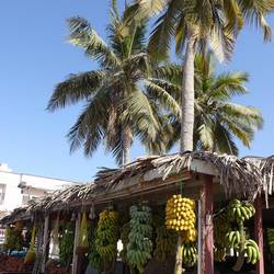 Fruit paradise