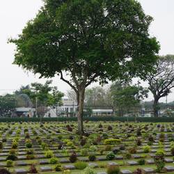 Le cimetière de guerre de Kanchanaburi où près de 7000 soldats sont enterrés.
