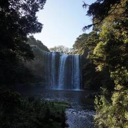 Whangarei Falls