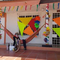 Houses decorated for the carnival